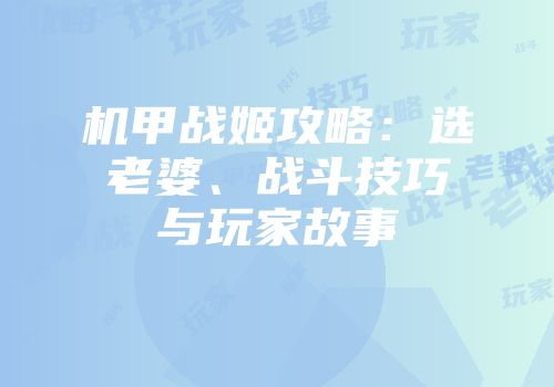 机甲战姬攻略：选老婆、战斗技巧与玩家故事
