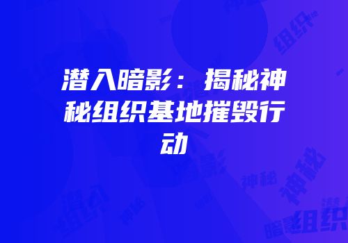 潜入暗影：揭秘神秘组织基地摧毁行动