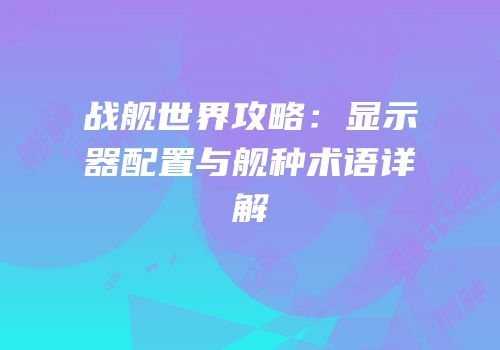 战舰世界攻略：显示器配置与舰种术语详解