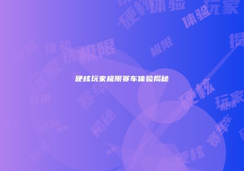 硬核玩家极限赛车体验揭秘