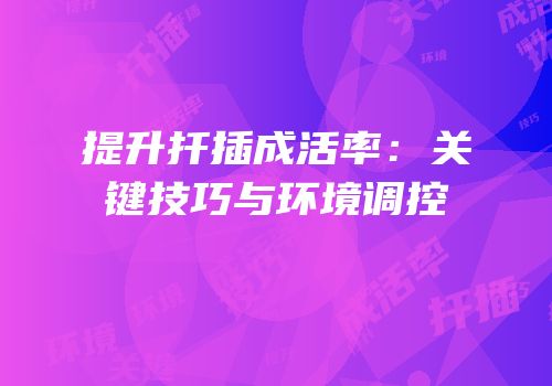 提升扦插成活率：关键技巧与环境调控