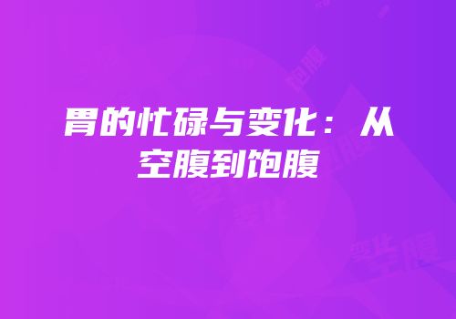 胃的忙碌与变化：从空腹到饱腹