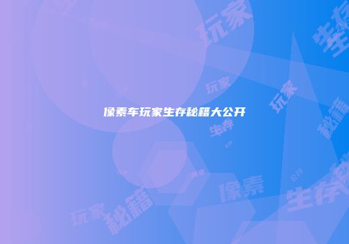 像素车玩家生存秘籍大公开