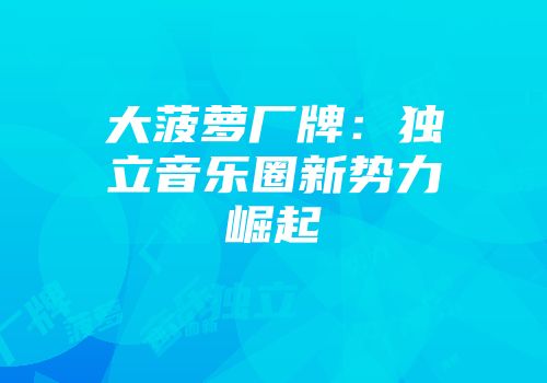 大菠萝厂牌：独立音乐圈新势力崛起
