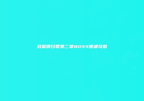 战国明日香第二章BOSS速通攻略