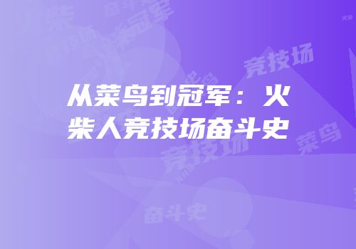 从菜鸟到冠军：火柴人竞技场奋斗史