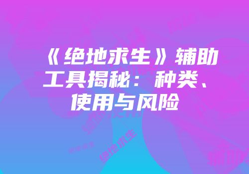 《绝地求生》辅助工具揭秘：种类、使用与风险