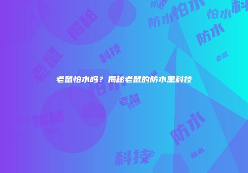 老鼠怕水吗？揭秘老鼠的防水黑科技