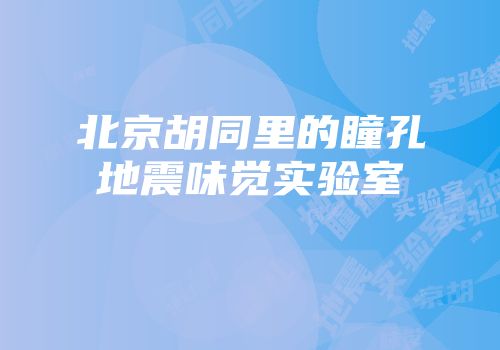 北京胡同里的瞳孔地震味觉实验室