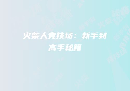 火柴人竞技场：新手到高手秘籍