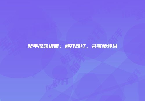 新手探险指南：避开网红，寻宝藏领域