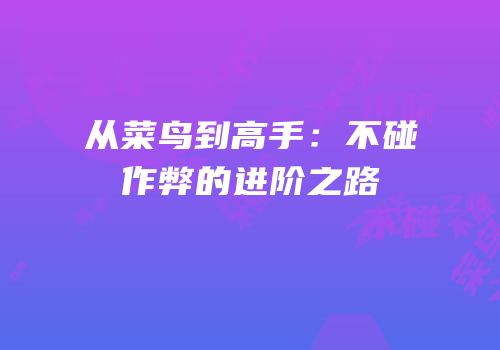从菜鸟到高手：不碰作弊的进阶之路