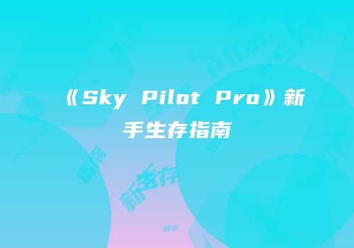 《Sky Pilot Pro》新手生存指南