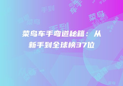 菜鸟车手弯道秘籍：从新手到全球榜37位