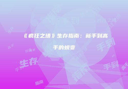 《疯狂之墙》生存指南：新手到高手的蜕变