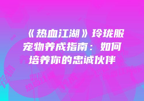 《热血江湖》玲珑服宠物养成指南：如何培养你的忠诚伙伴