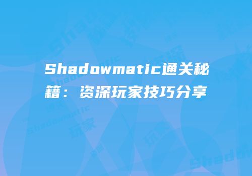 Shadowmatic通关秘籍：资深玩家技巧分享