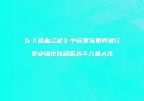 在《热血江湖》中玩家应如何进行灵宠强化以确保战斗力最大化