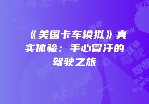 《美国卡车模拟》真实体验：手心冒汗的驾驶之旅