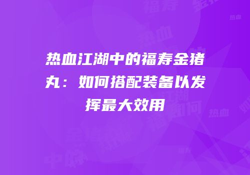 热血江湖中的福寿金猪丸：如何搭配装备以发挥最大效用