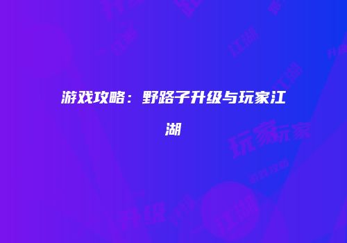 游戏攻略：野路子升级与玩家江湖