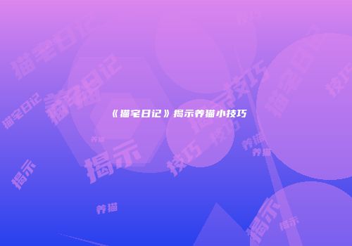 《猫宅日记》揭示养猫小技巧