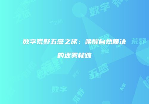 数字荒野五感之旅：唤醒自然魔法的迷雾林踪