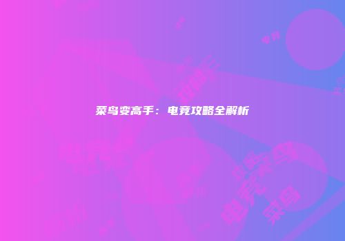 菜鸟变高手：电竞攻略全解析