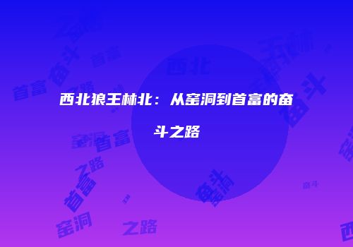 西北狼王林北：从窑洞到首富的奋斗之路
