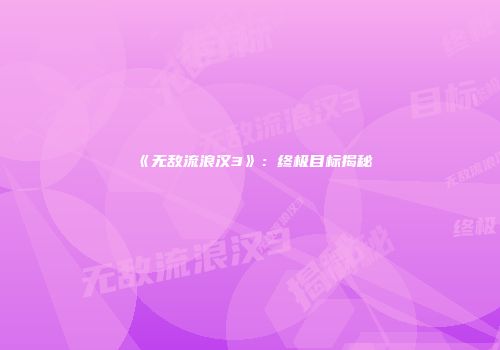 《无敌流浪汉3》：终极目标揭秘