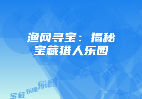 渔网寻宝：揭秘宝藏猎人乐园