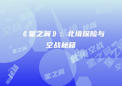 《星之翼》：北境探险与空战秘籍