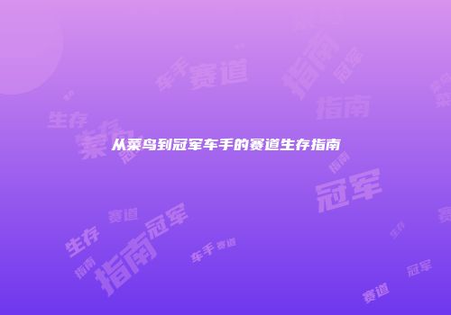 从菜鸟到冠军车手的赛道生存指南