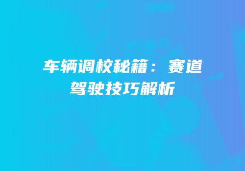 车辆调校秘籍：赛道驾驶技巧解析