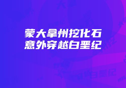 蒙大拿州挖化石意外穿越白垩纪
