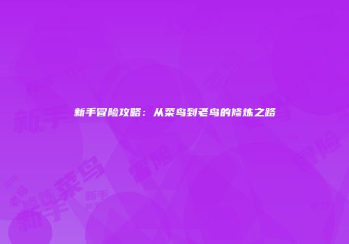 新手冒险攻略：从菜鸟到老鸟的修炼之路