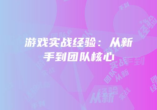 游戏实战经验：从新手到团队核心
