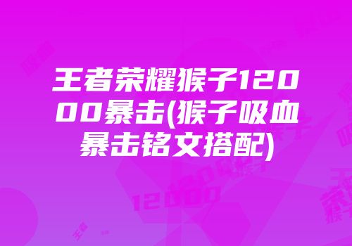 王者荣耀猴子12000暴击(猴子吸血暴击铭文搭配)