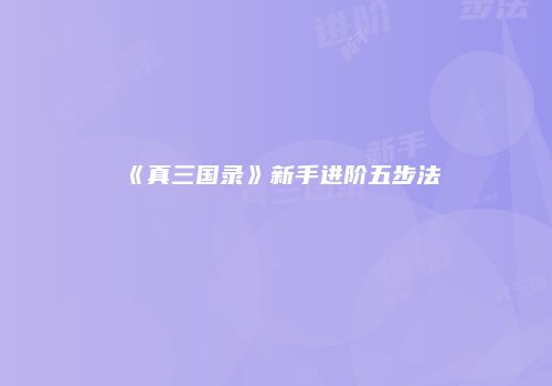 《真三国录》新手进阶五步法