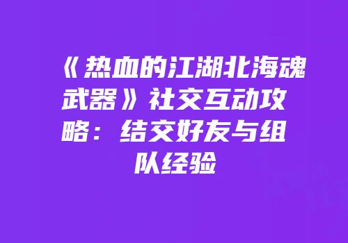 《热血的江湖北海魂武器》社交互动攻略：结交好友与组队经验