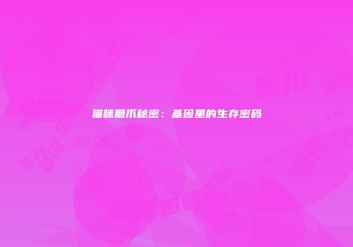 猫咪磨爪秘密：基因里的生存密码