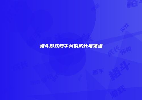 格斗游戏新手村的成长与领悟