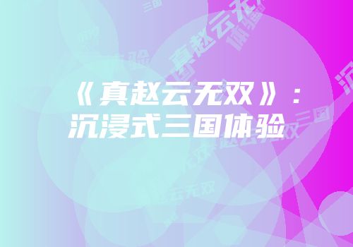 《真赵云无双》：沉浸式三国体验