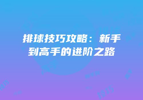 排球技巧攻略：新手到高手的进阶之路