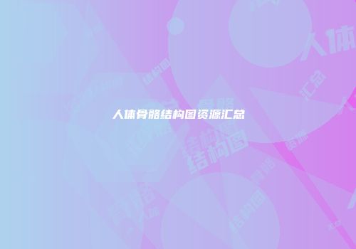 人体骨骼结构图资源汇总