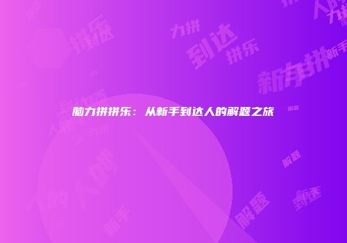 脑力拼拼乐：从新手到达人的解题之旅