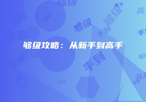 够级攻略：从新手到高手