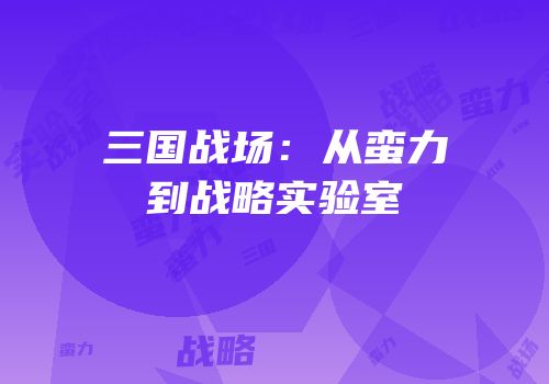 三国战场：从蛮力到战略实验室