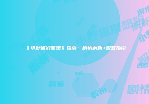 《小野猫别想跑》指南：剧情解析+观看指南