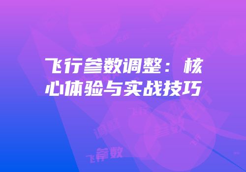 飞行参数调整：核心体验与实战技巧